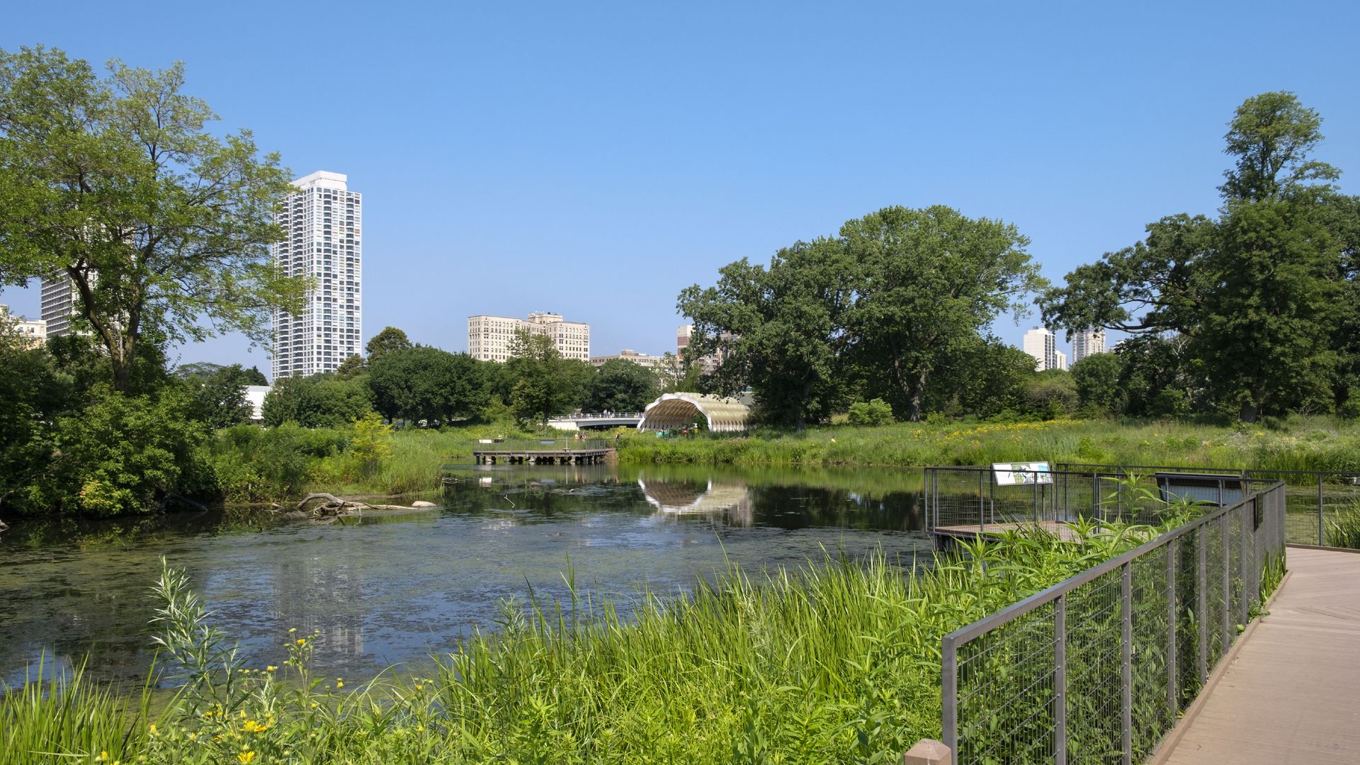 Photo of a park with buildings in background 
