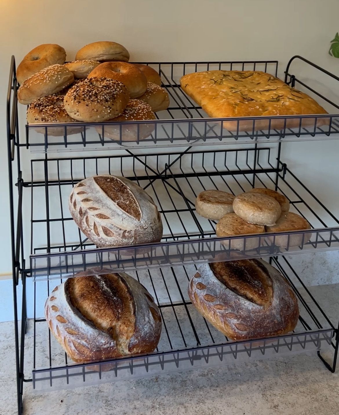 different loaves of bread on a shelf