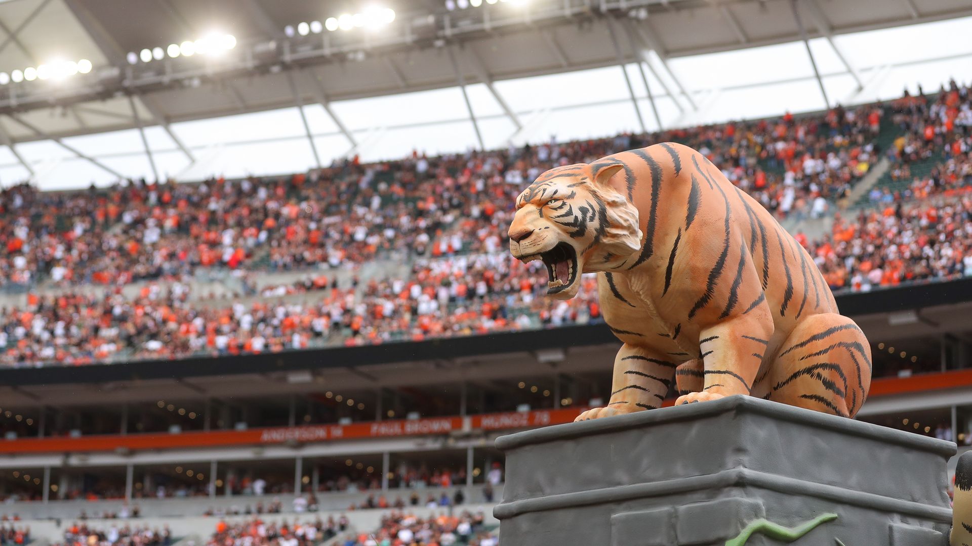 Cincinnati Bengals statue