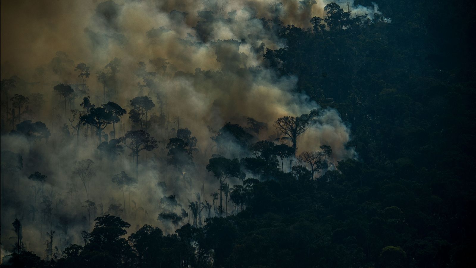 August fires in Brazil's Amazon rainforest hit new 12year high