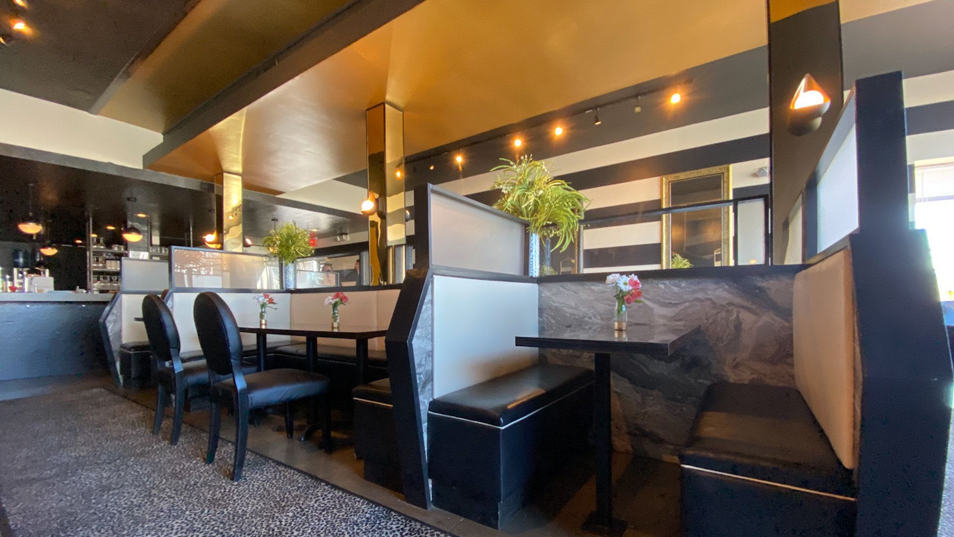 Sister Plaza Midwood