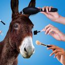 Makeovers are part of the prep for Democrats eyeing the White House in 2028