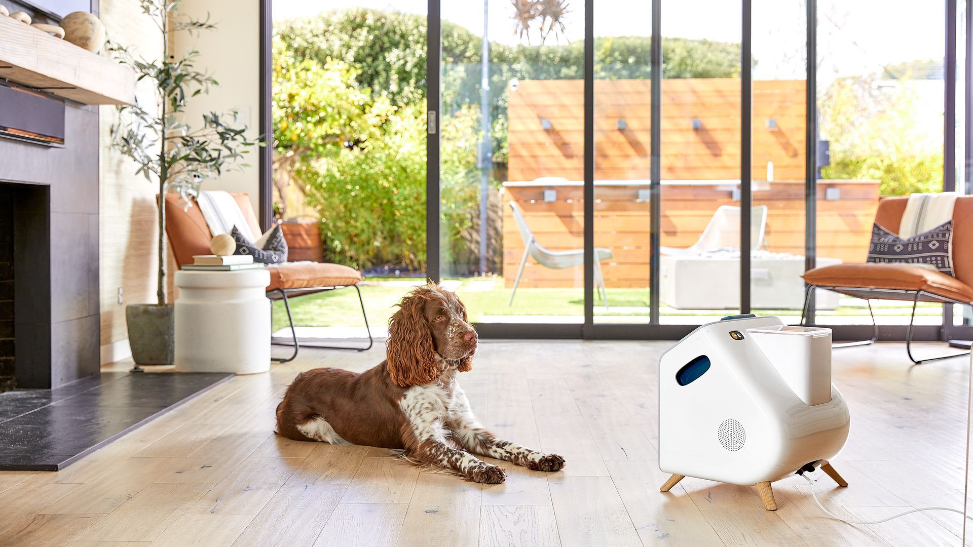 The Companion smart device is meant to entertain dogs while monitoring their health.