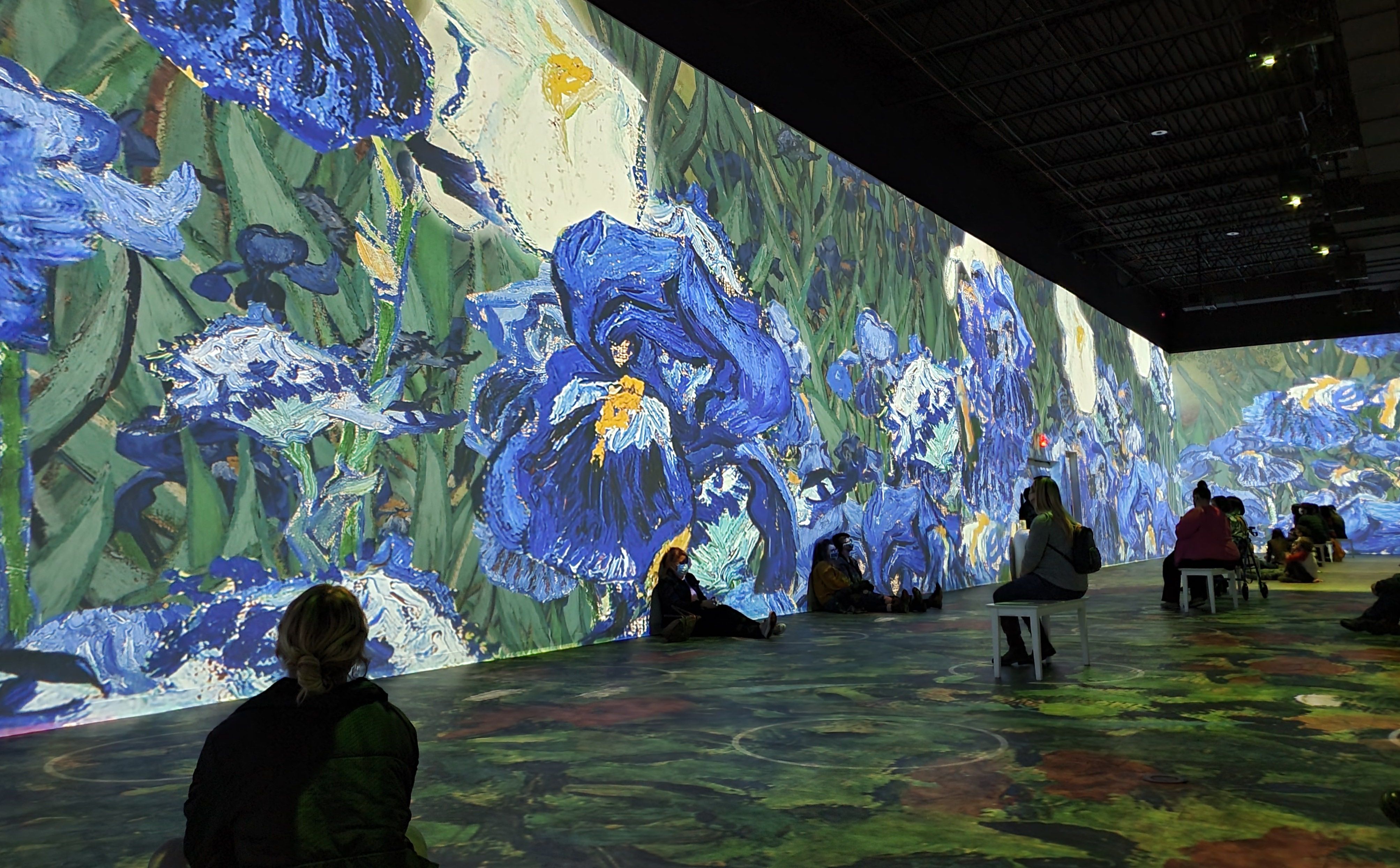 Van Gogh's "Irises" painting is cast onto a wall as people sit on benches and the floor observing it