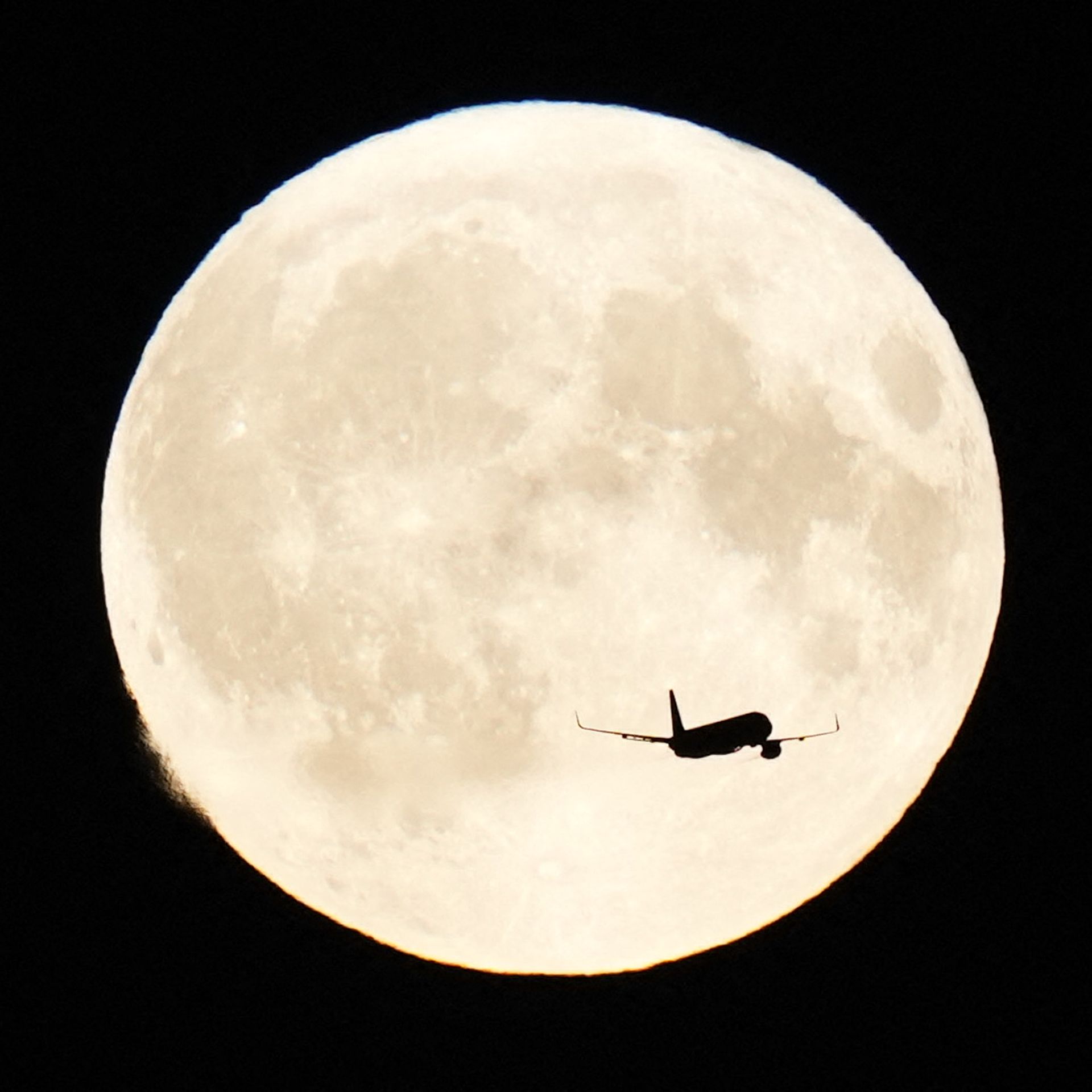 Blue moon様 BLUE MOON | Official Trailer (2025) - YouTube