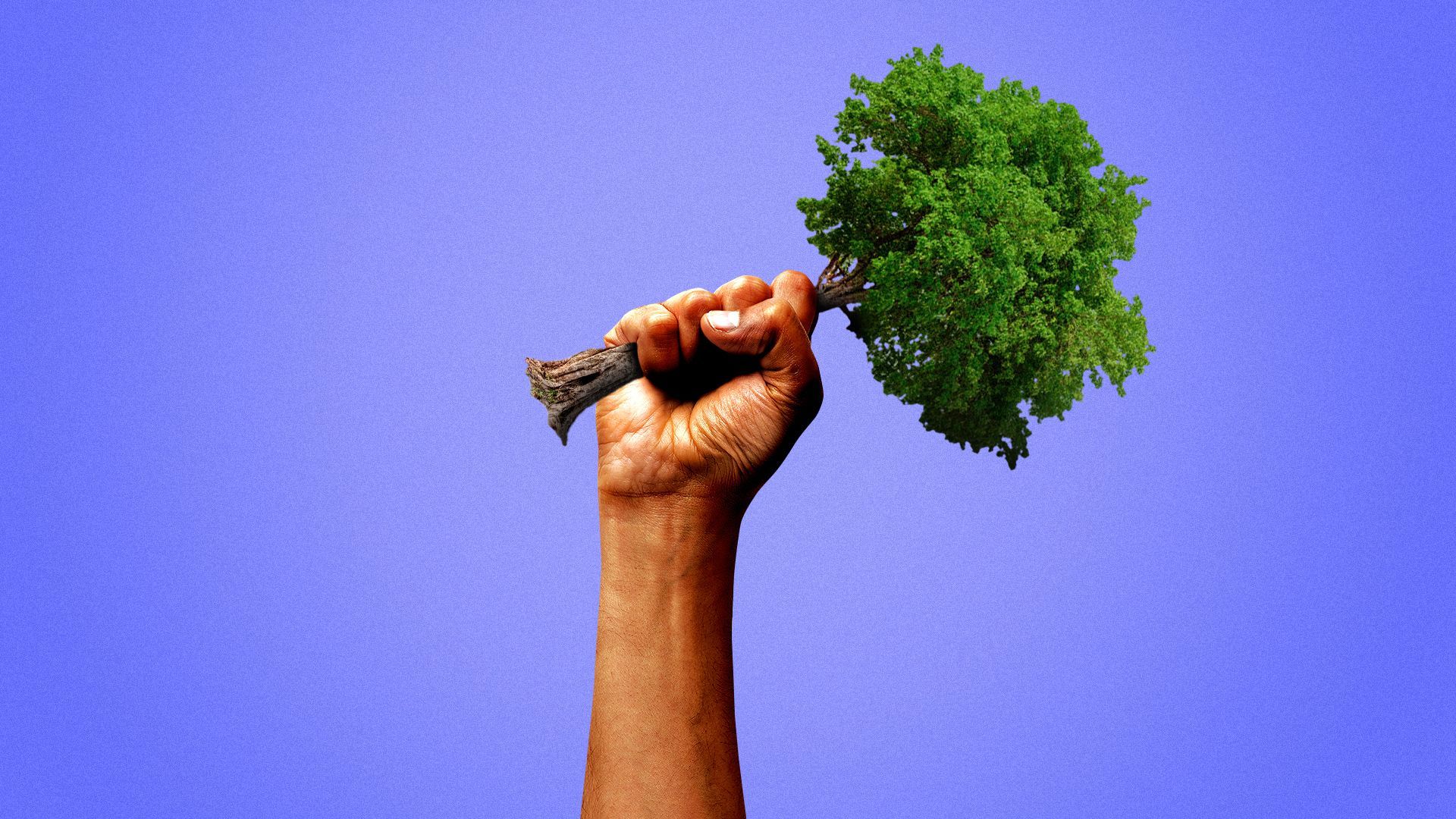 Illustration of a hand holding up a tree.