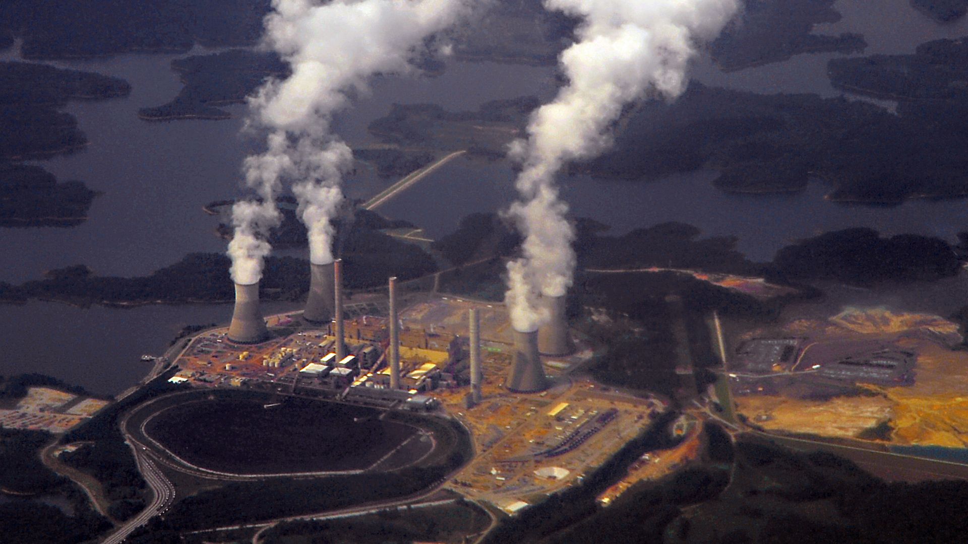 Plant Bowen from above