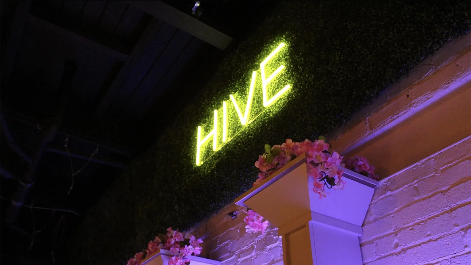 Charlotte nightlife is growing with Hive Nightclub - Axios Charlotte