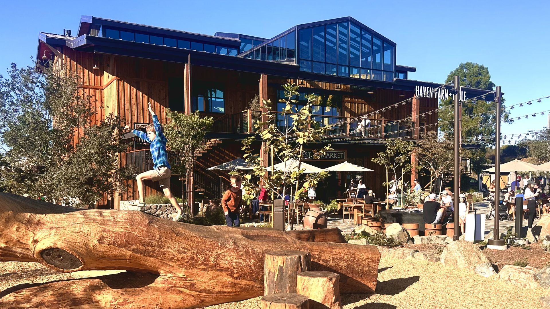 A kid walks along a fallen tree at Fox Point Farms in Encinitas
