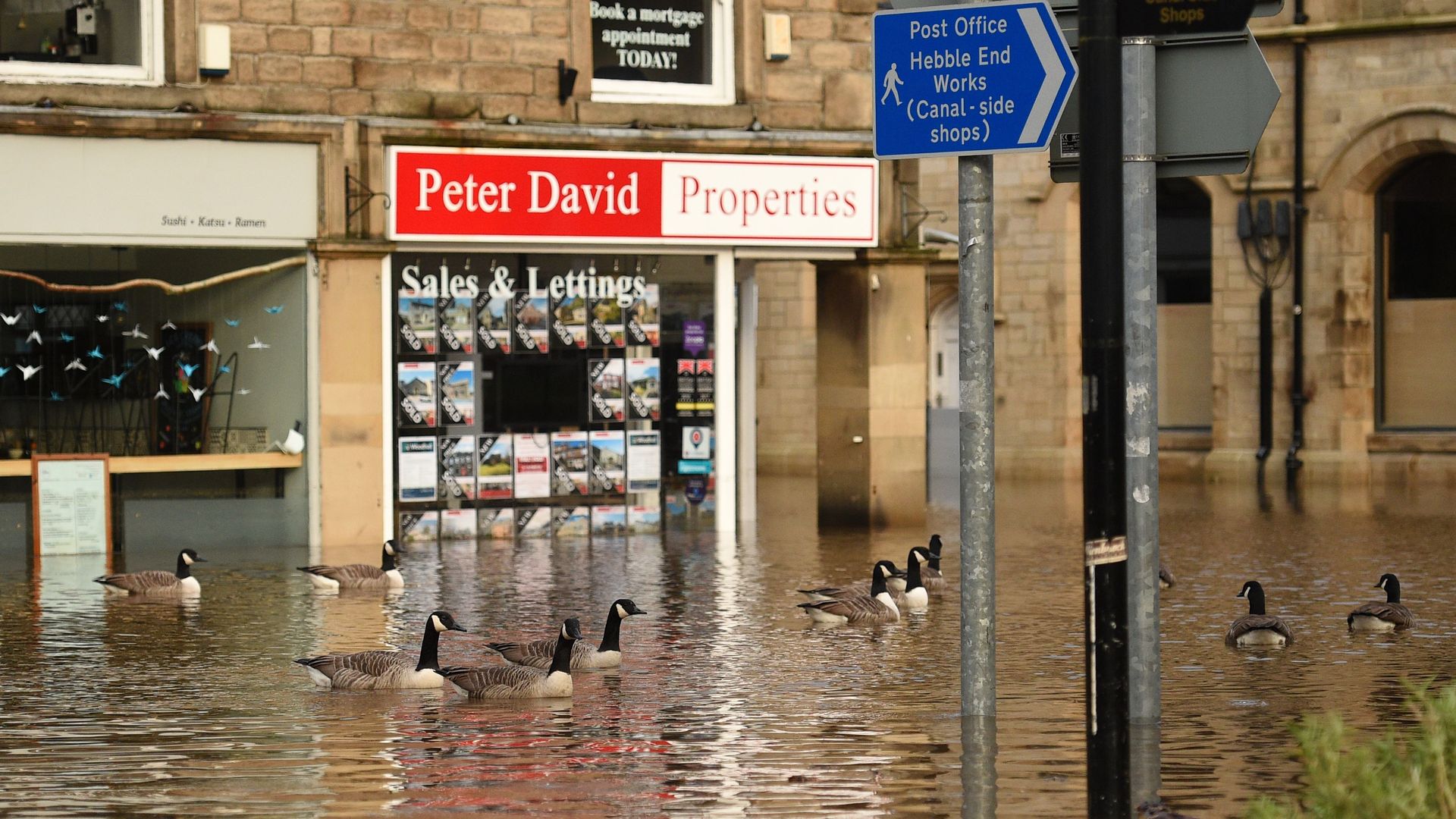 Geese take advantage of the conditions as floodwater fills the streets of Hebden Bridge, northern England