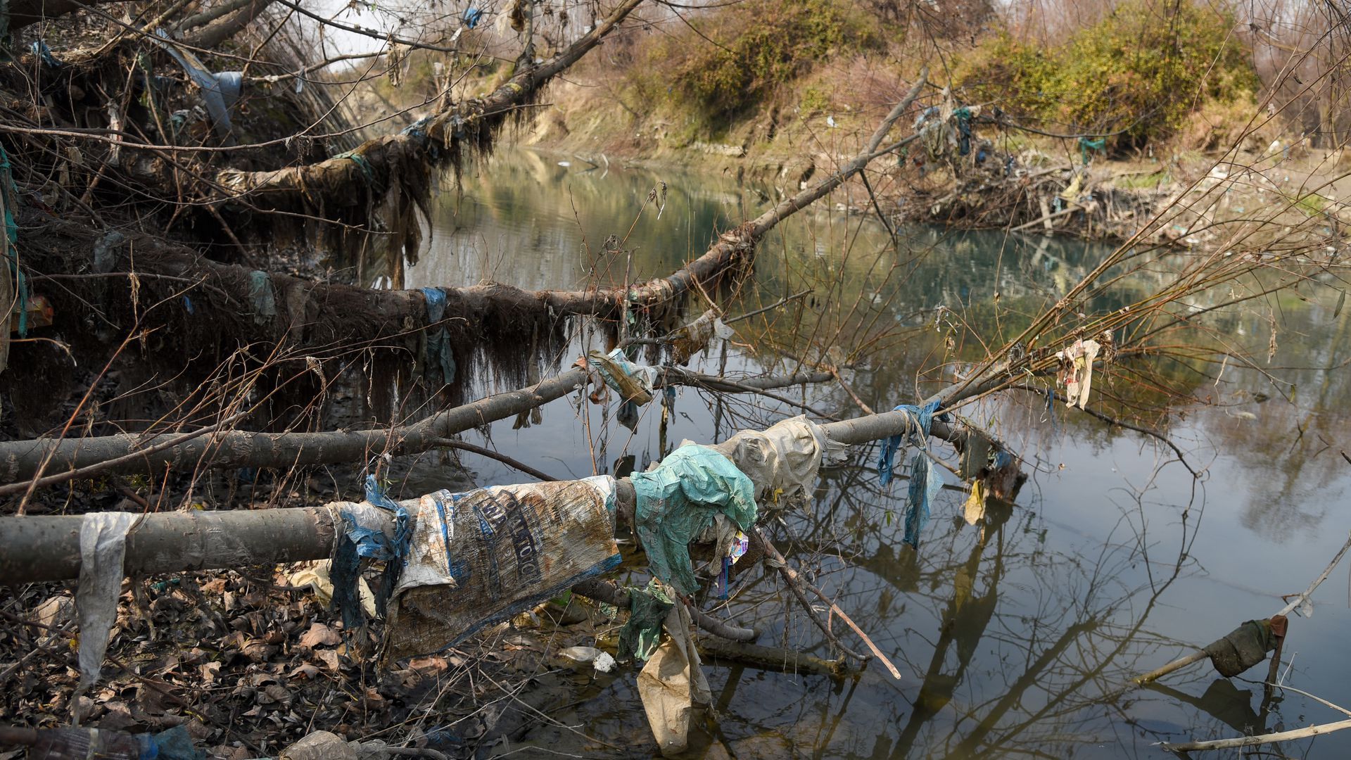 Plastic bags wrap around trees along the Sindh River in India.