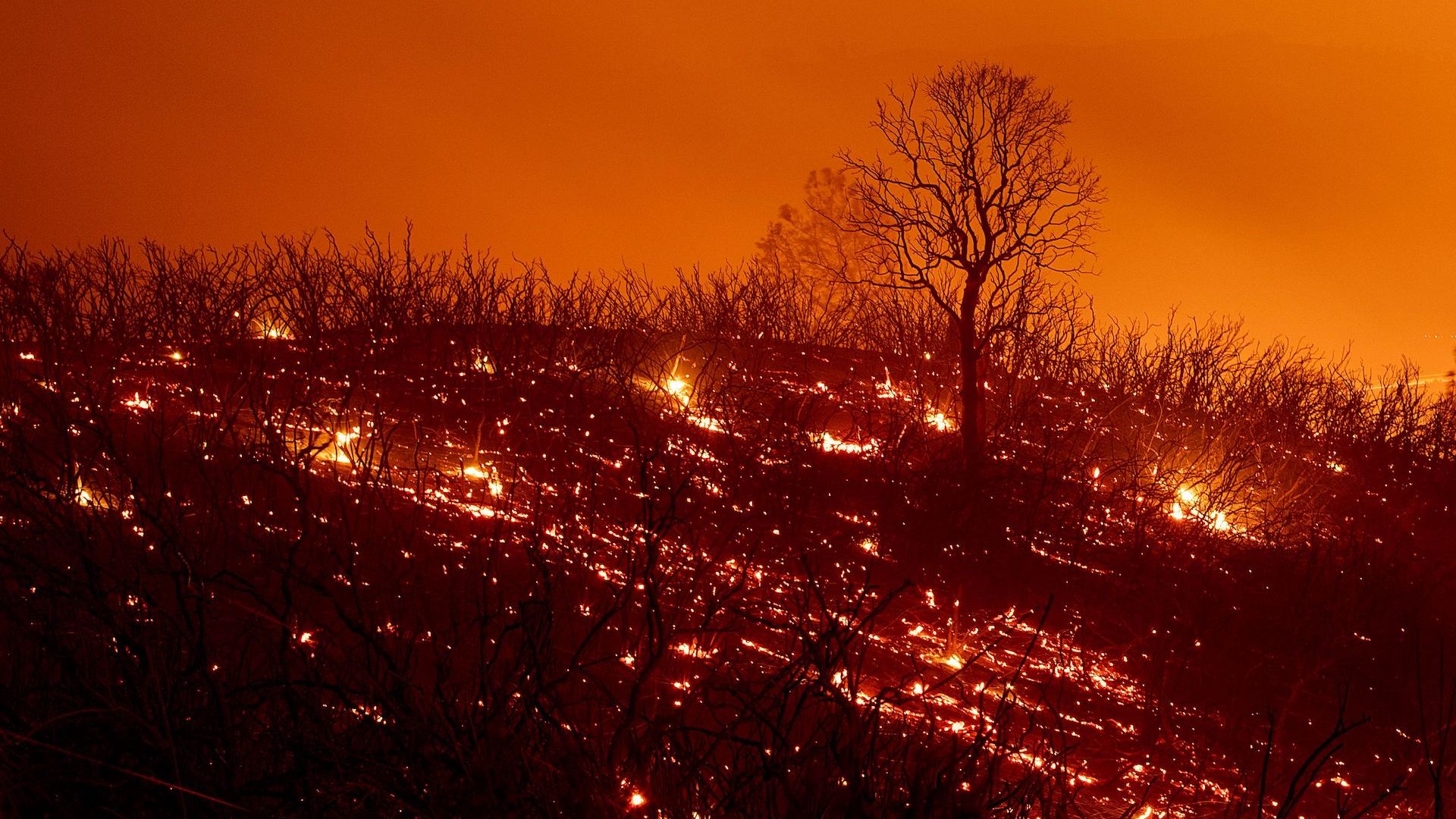 Embers smoulder along a hillside after the Ranch Fire, part of the Mendocino Complex Fire.