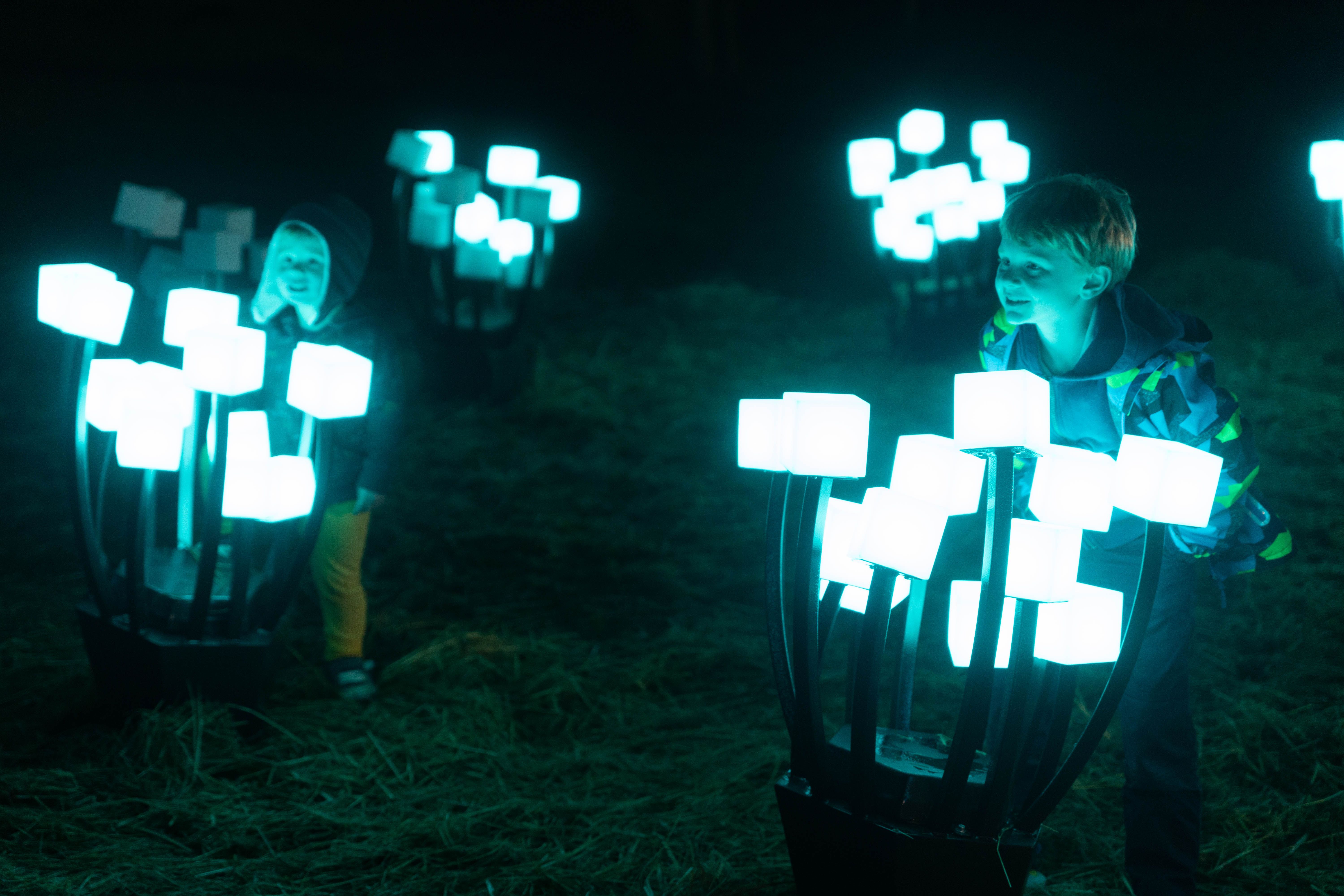 3 best holiday light displays in San Francisco Axios San Francisco