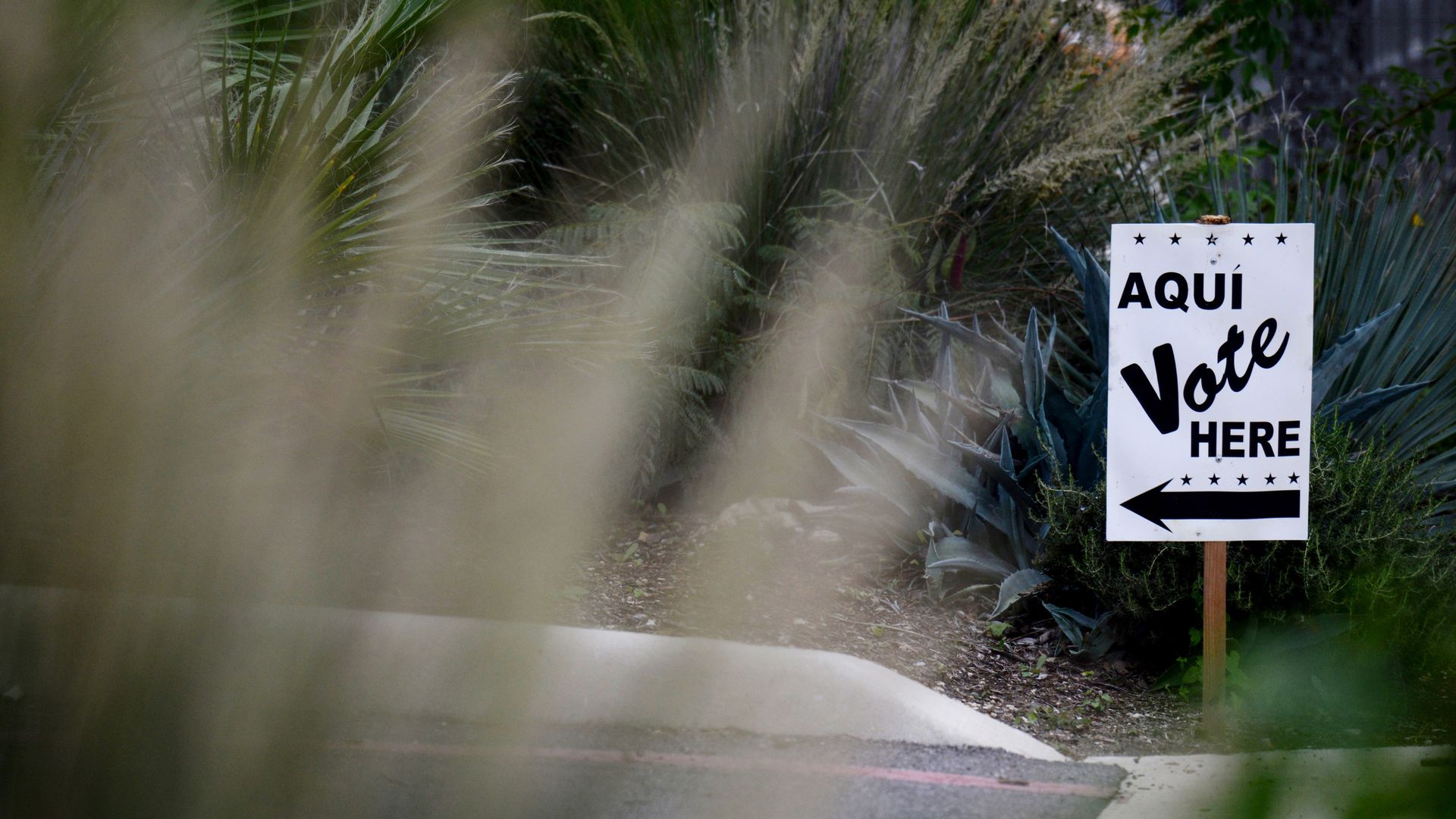 A white yard sign reads "Aqui Vote Here" at a San Antonio polling location. The sign is in focus while greenery is blurred in the background.