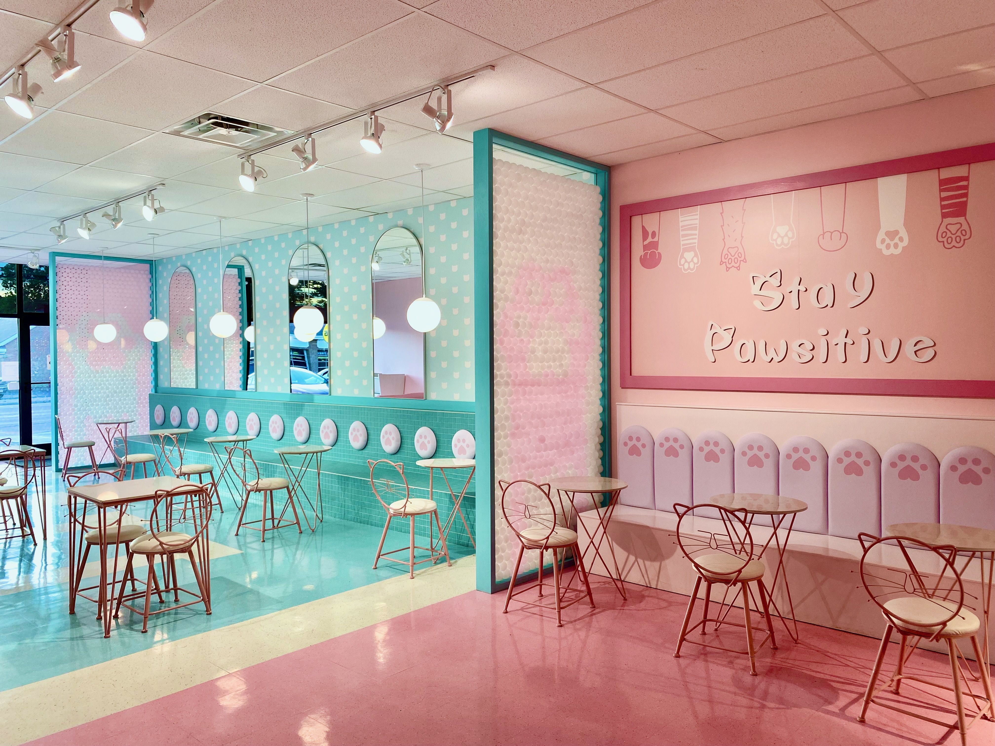 A turquoise and pink cat cafe with pink tables and cat-shaped chairs and a wall mural that says "Stay Pawsitive" above cat paws