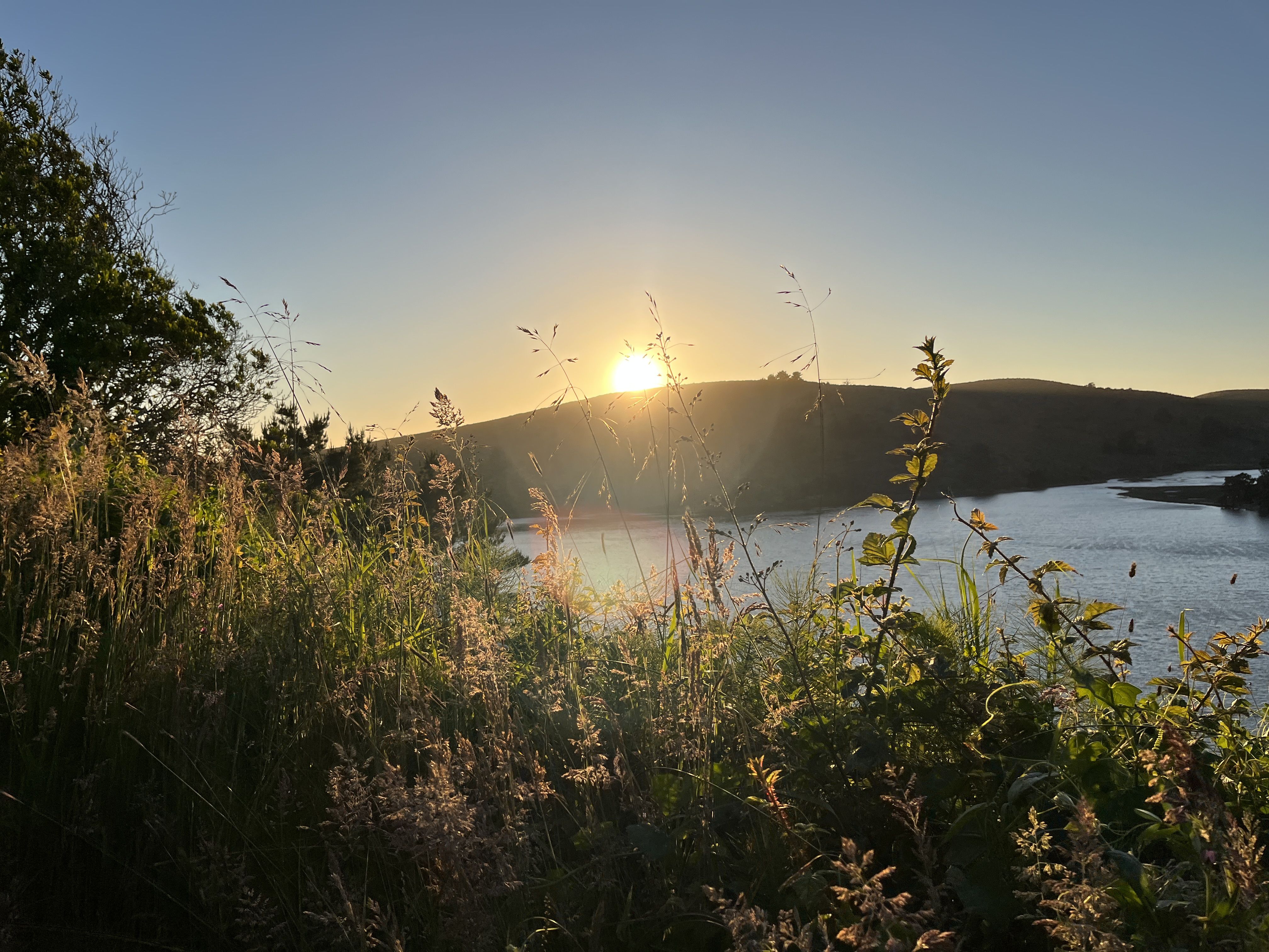 Sunset over rolling hills with tall grasses in the foreground. Left silhouettes of trees and shrubs; right a snow-bordered river reflecting the warm light under a clear blue sky.