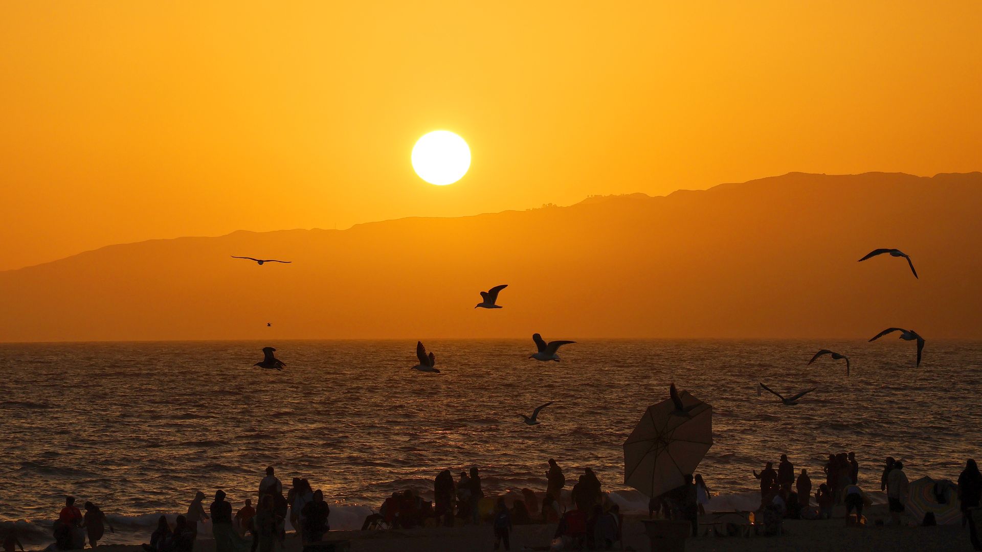 : Seagulls fly in front of the setting sun on Santa Monica Beach on April 15, 2023, in Los Angeles, California.