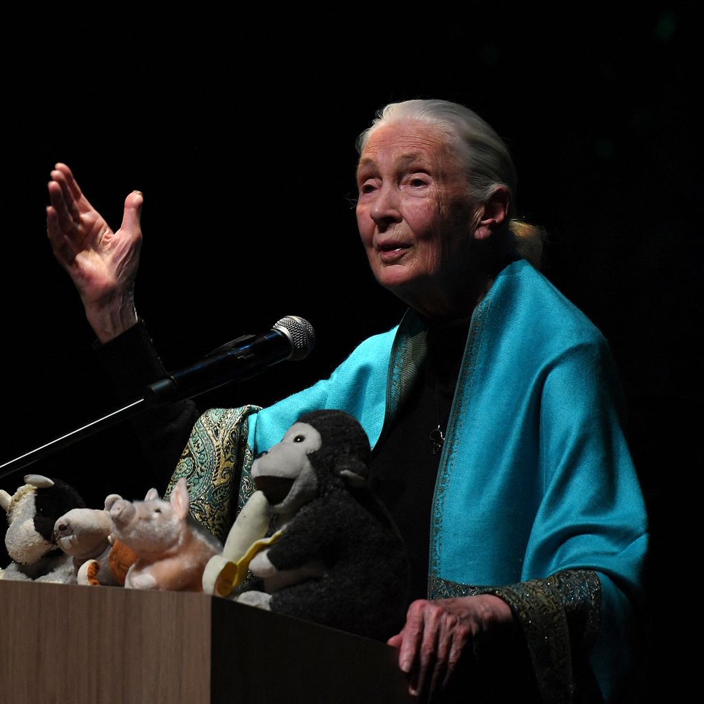 Jane Goodall to hold youth-focused talk in St. Petersburg - Axios