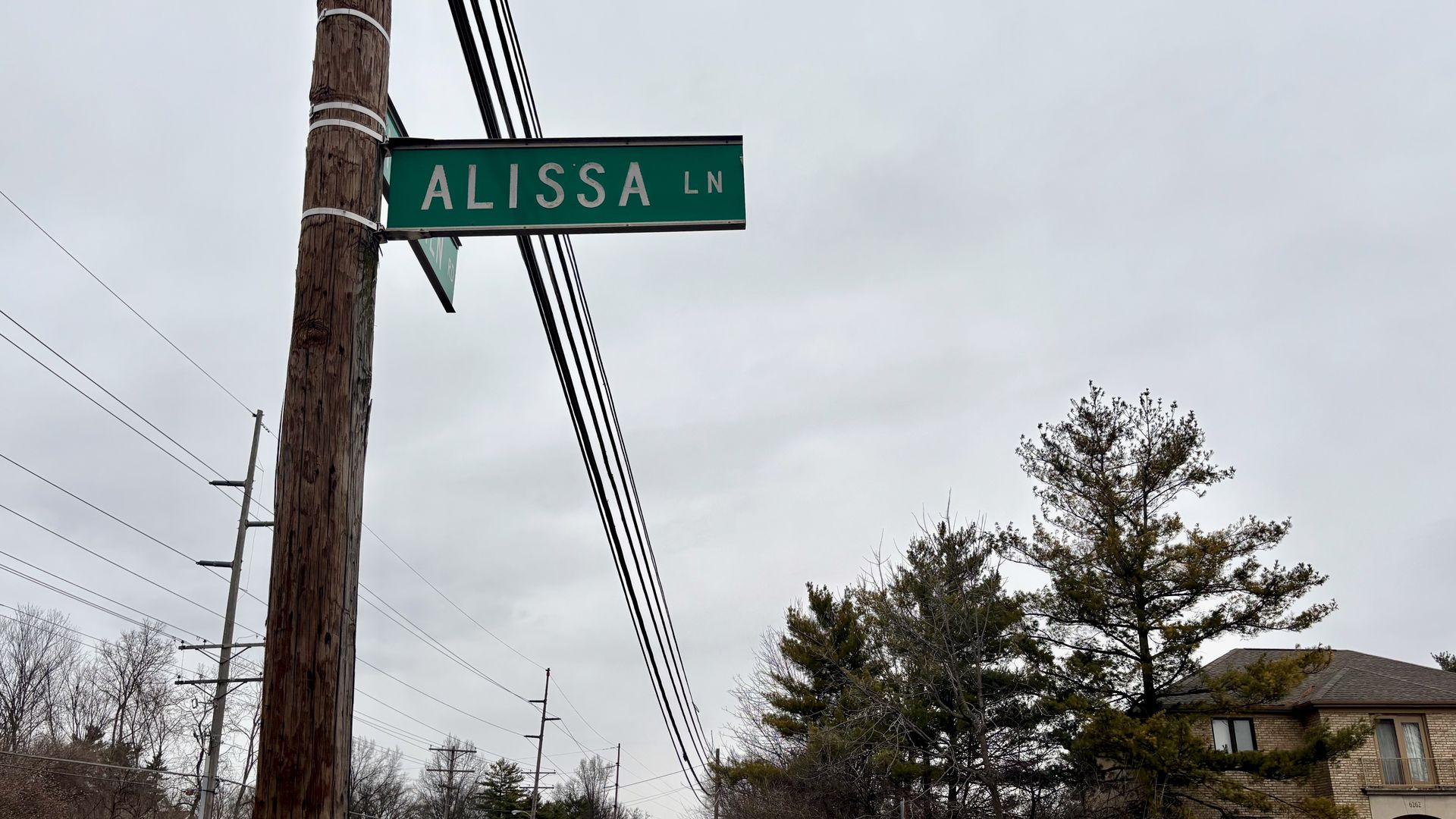 A green street sign that reads "Alissa Ln"
