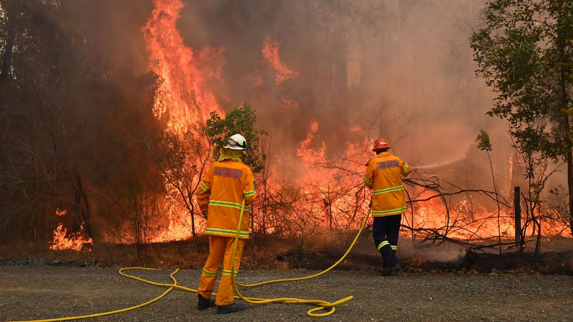 Firefighters tackle a wildfire that's threatening a home in Taree, north of Sydney.