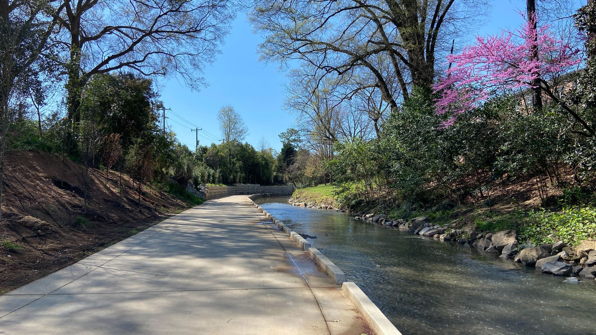 Little Sugar Creek Greenway heading toward Freedom Park. Blue skies and pink buds bloom on a tree to the right. 