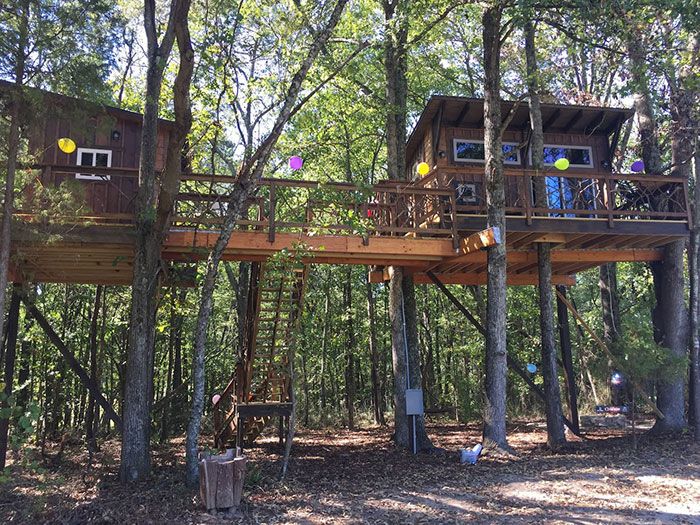 treesort-bick-nick-china-grove