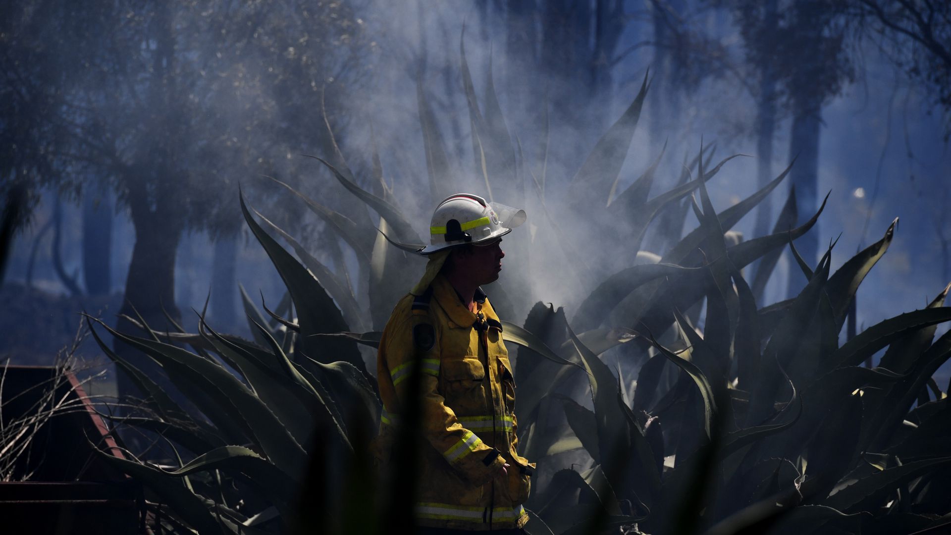 A NSW Rural Fire Service firefighter mops up after a bushfire in the suburb of Llandilo in Sydney on Monday. 