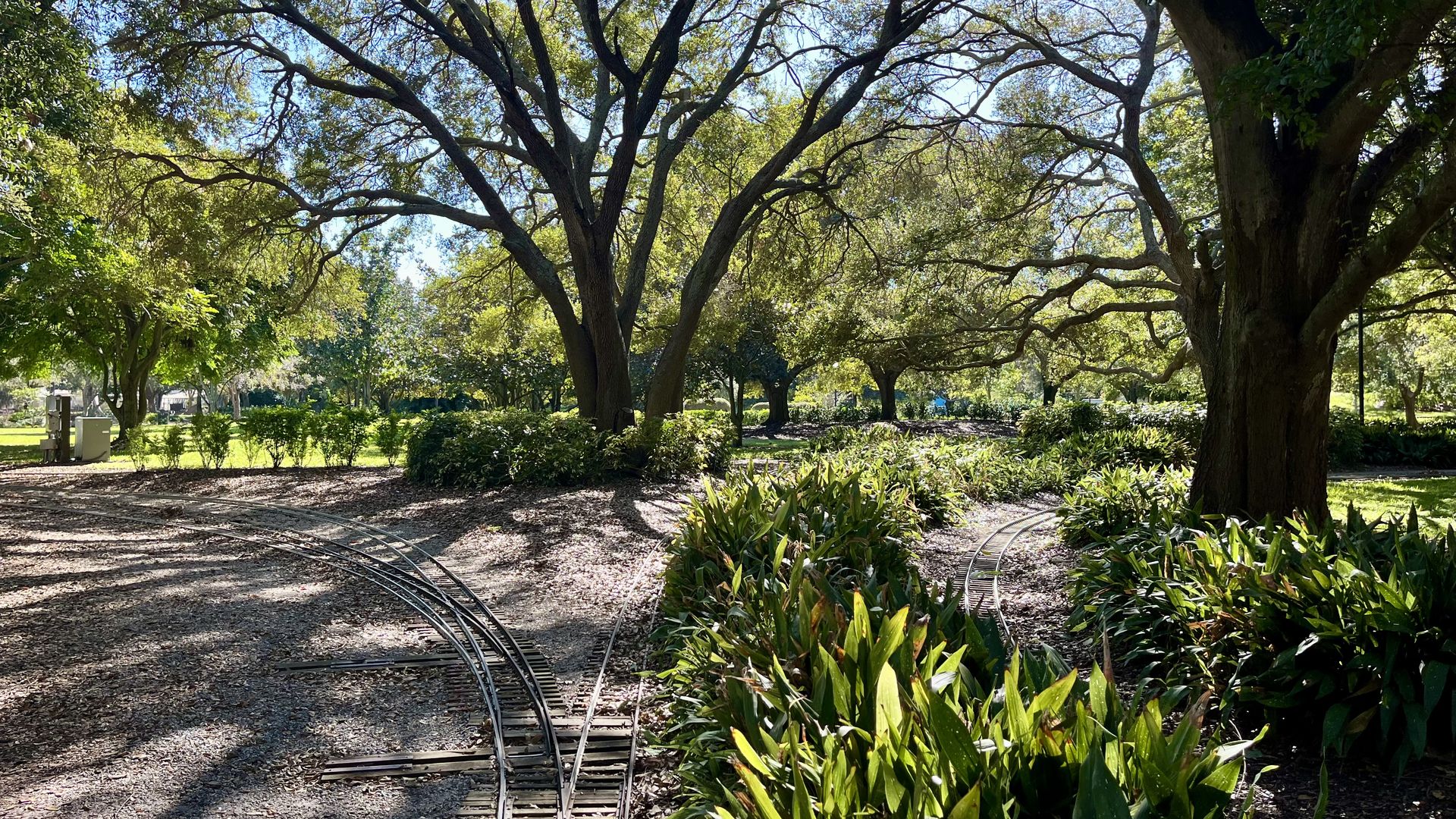 A park with green shrubs and tall, sweeping oak trees with a small railroad track cutting through mulch.