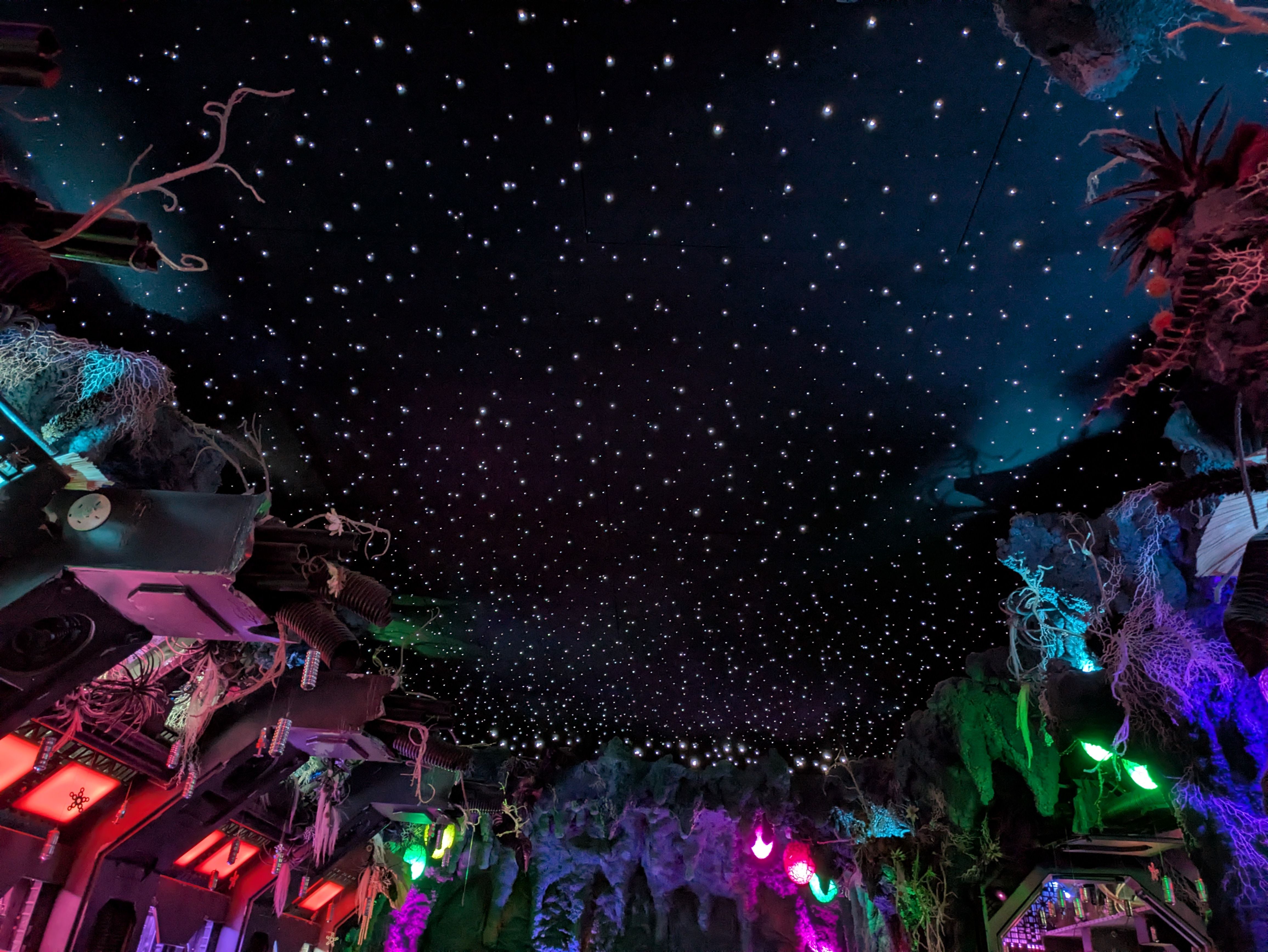 Indoor scene with a ceiling decorated like a starry night sky, surrounded by colorful lights and artificial plants and branches in shades of purple, green, and pink.