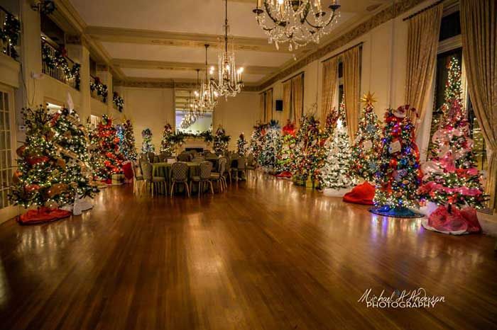 festival-of-trees