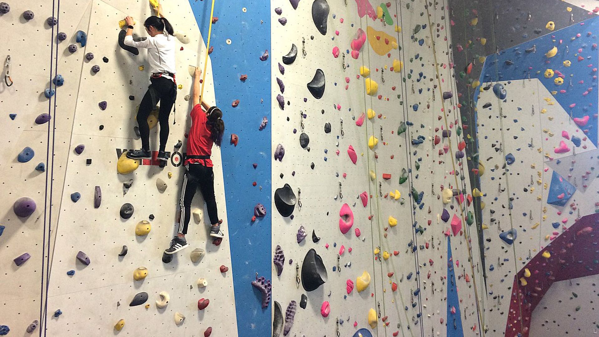 inner-peaks-charlotte