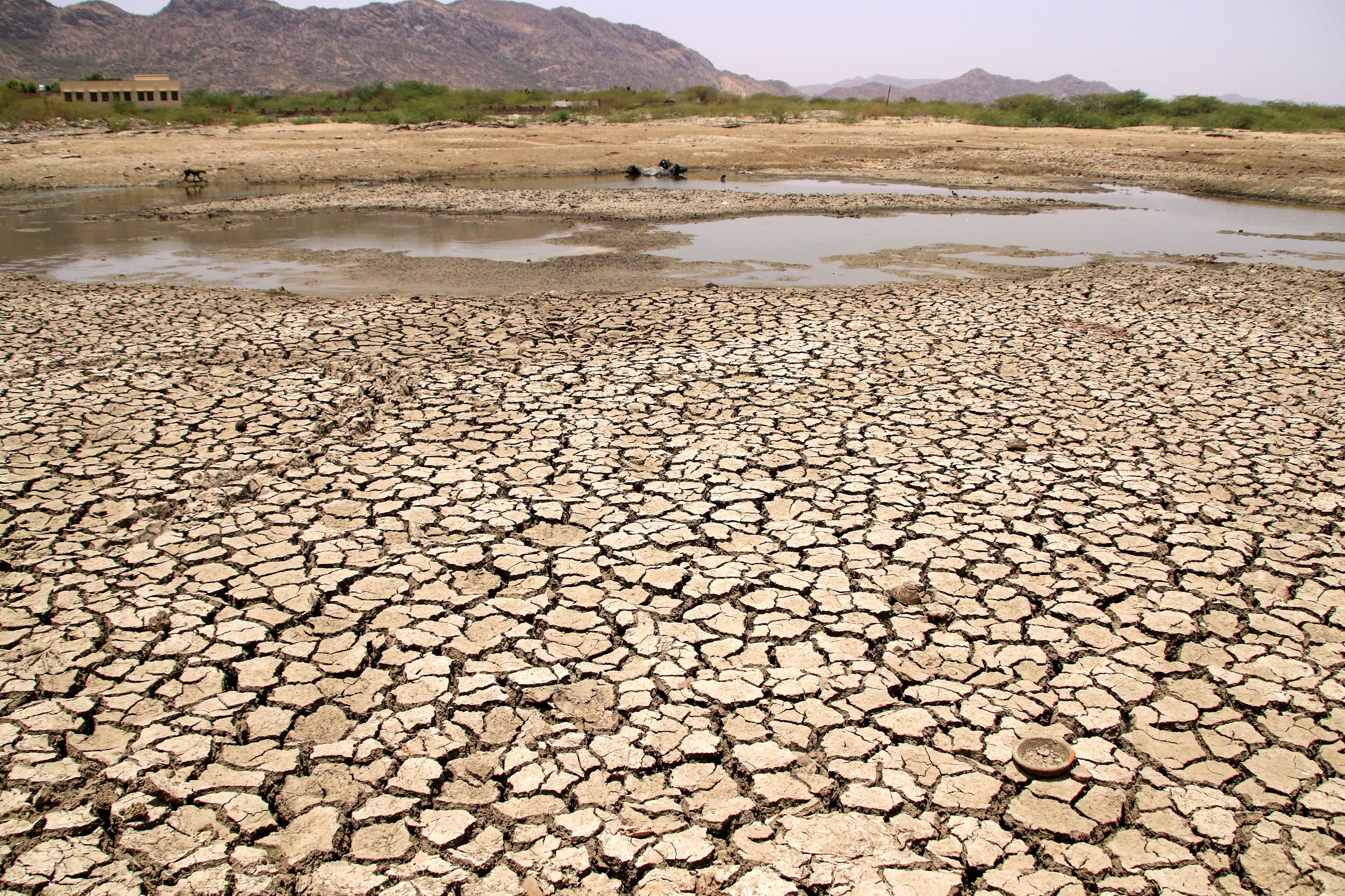  A general view of a lake running dry on a hot summer day near Ajmer on June 2, 2019.