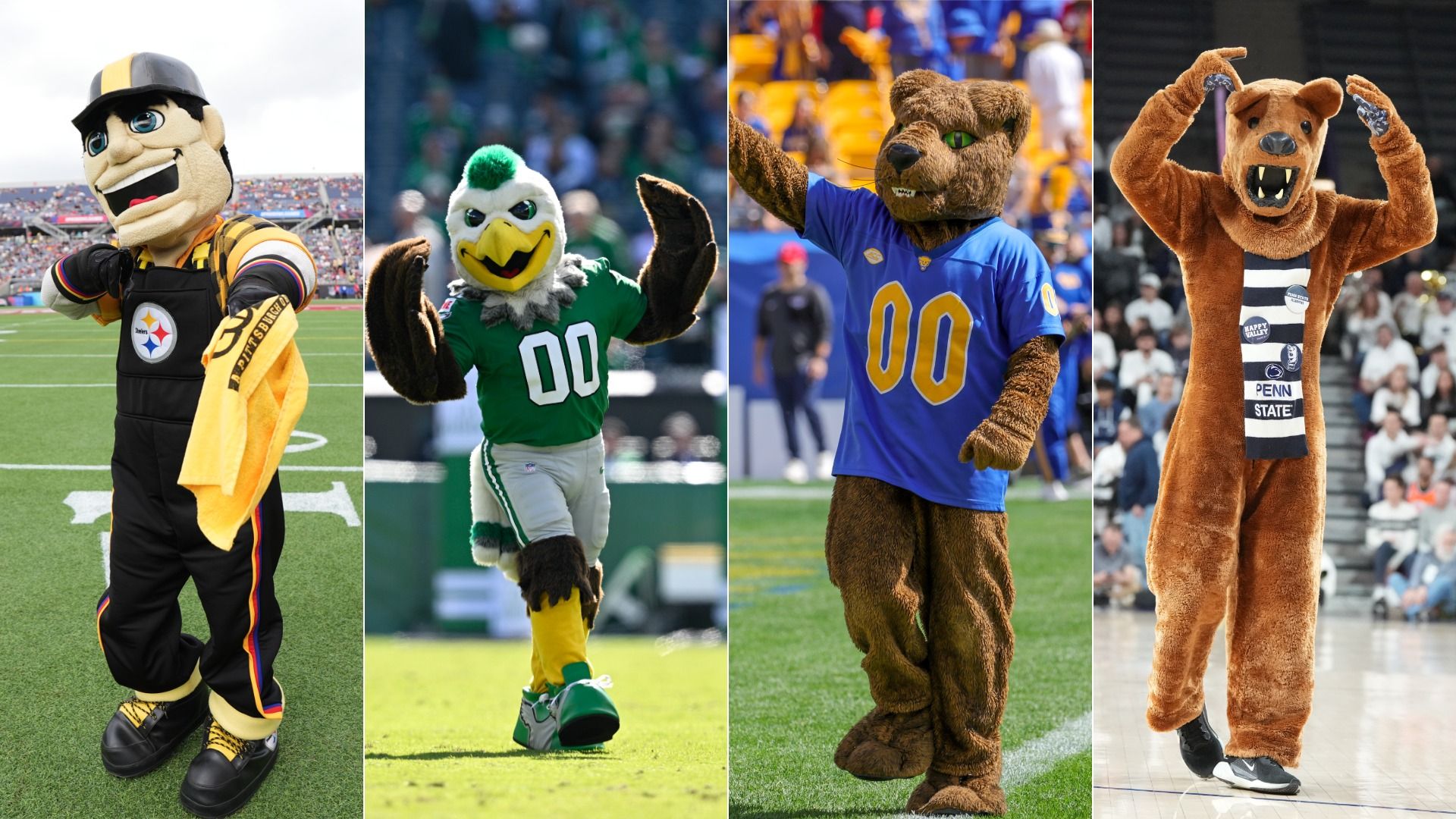 Pittsburgh Steelers mascot Steely McBeam next to Philadelphia Eagles mascot Swoop the eagle, next to University of Pittsburgh mascot Roc the Panther next to Penn State University mascot Nittany Lion
