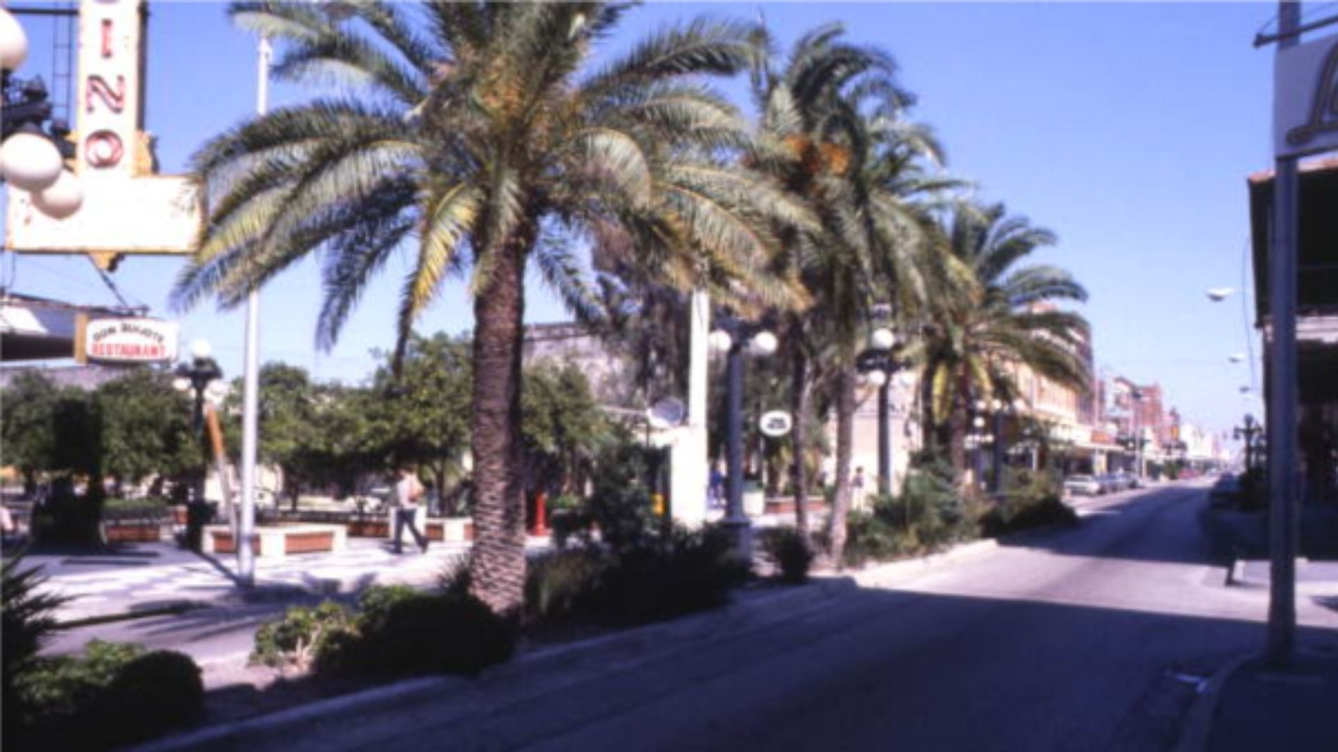 Sunny street lined with tall palm trees and street lamps, nearby benches and a restaurant sign reading "San Marcos Restaurant" under a clear blue sky.