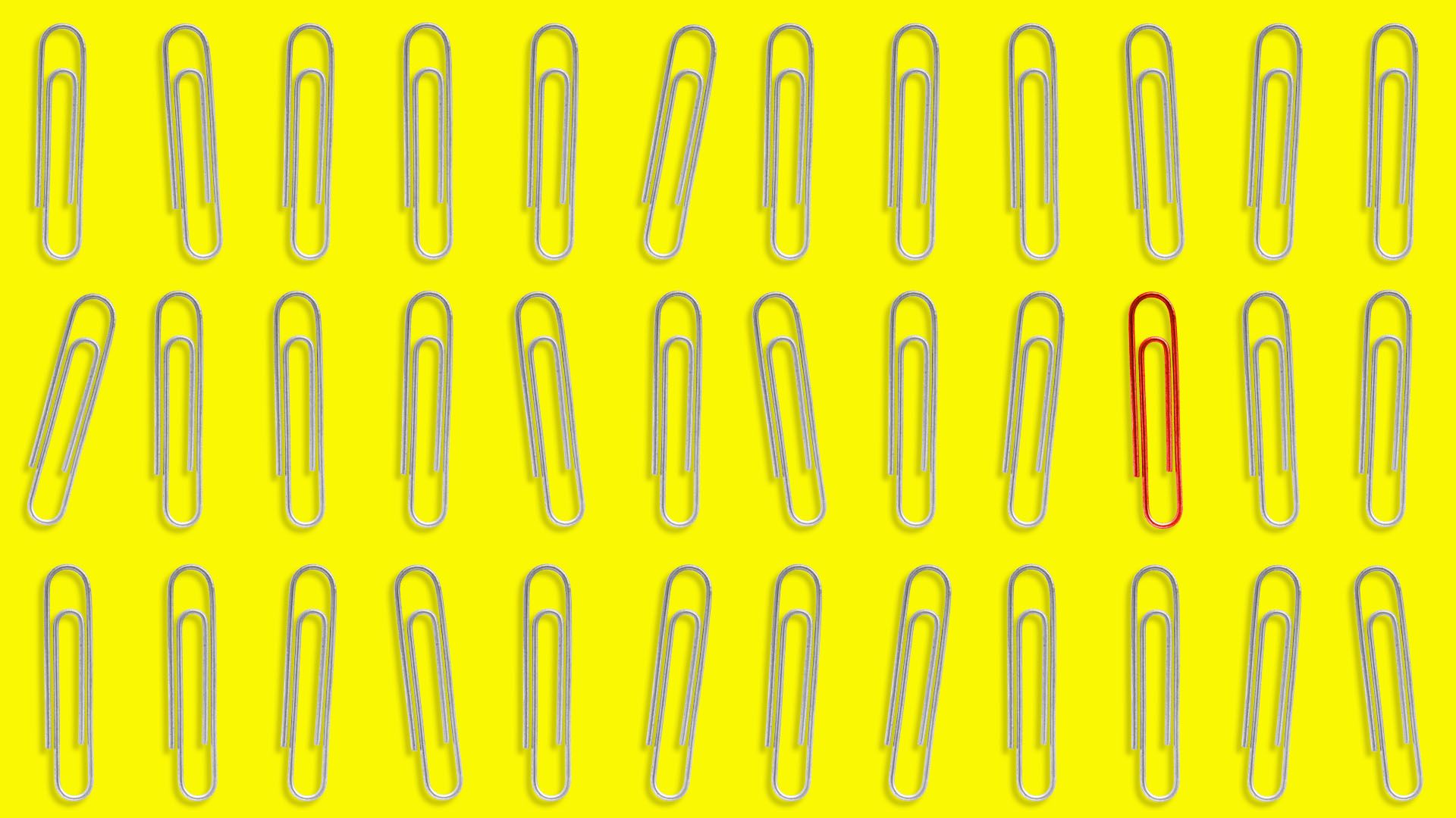 Illustration of collection of plain paper clips, with only one red one in the group.