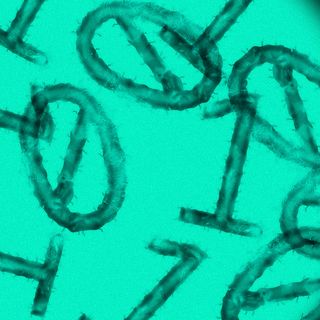 The narrow slice of data that worries biosecurity experts