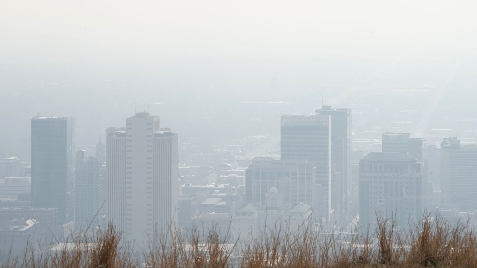 A hazy city skyline with tall skyscrapers fading into pale fog; dry brown grasses frame the bottom foreground.