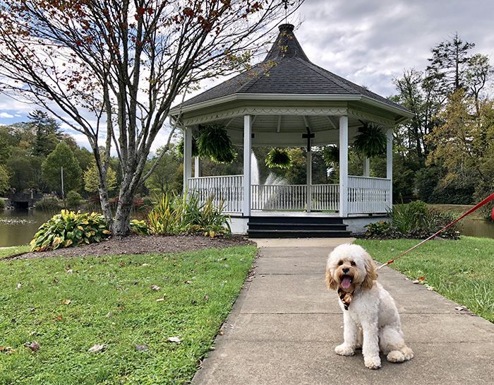 Annie Cannon Gardens walk