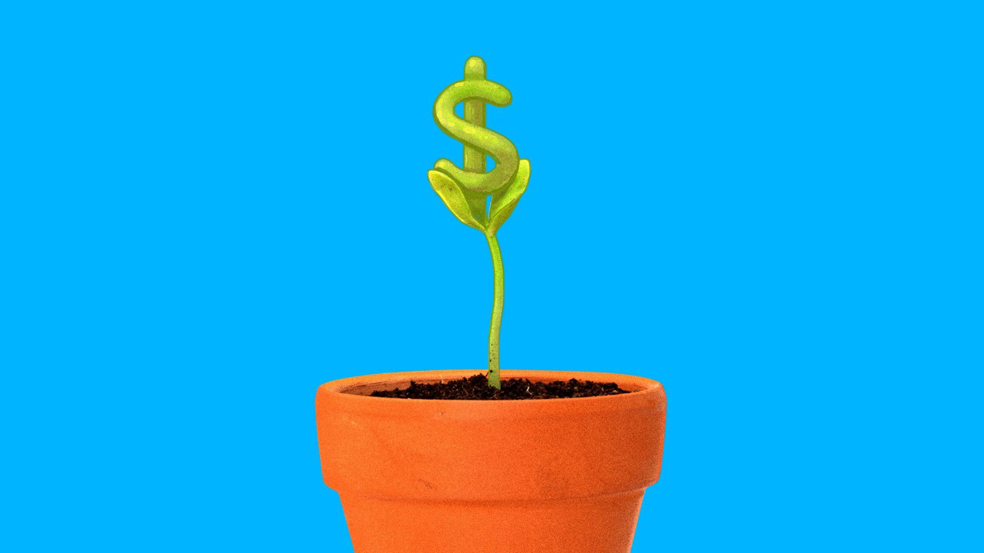 A green seedling shaped like a dollar sign sprouts from a terra cotta pot.
