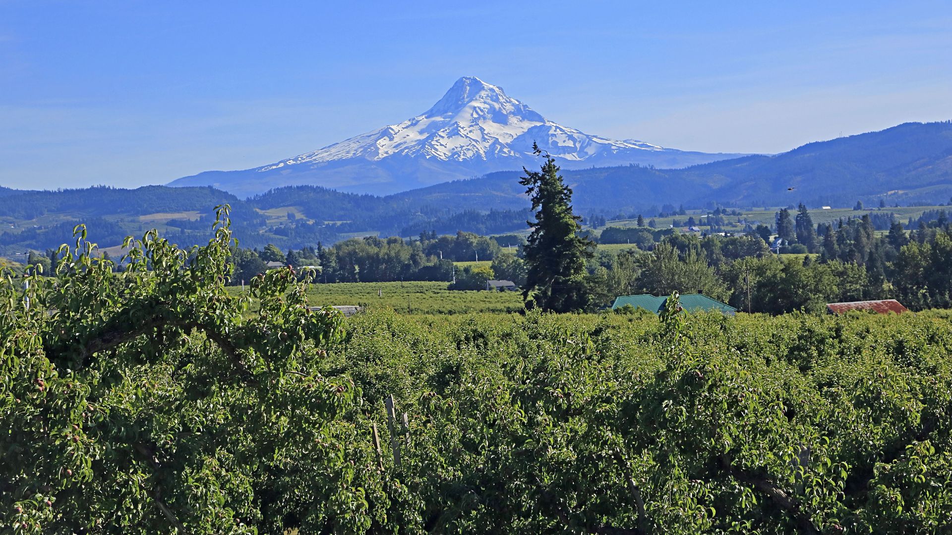 Oregon's Hood River Valley