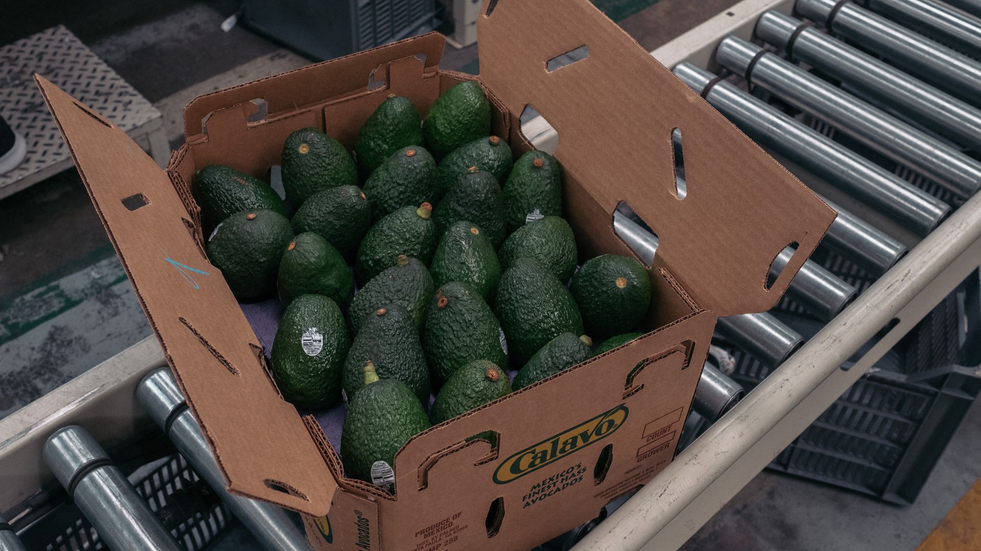 U.S. suspends avocado imports from Mexico after inspector is threatened