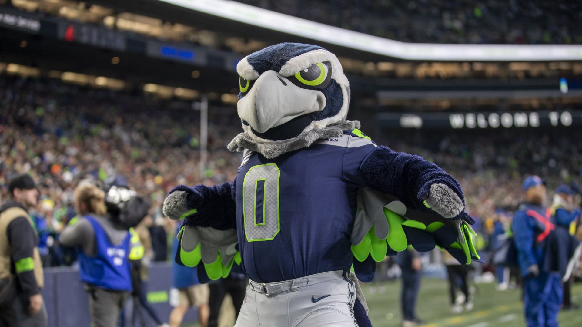 Seattle Seahawks mascot Blitz performs on the field. 