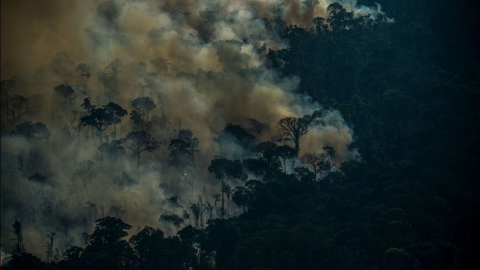 Smoke rising from a fire in the Amazon rainforest in the Brazilian state of Amazonas in September 2021.