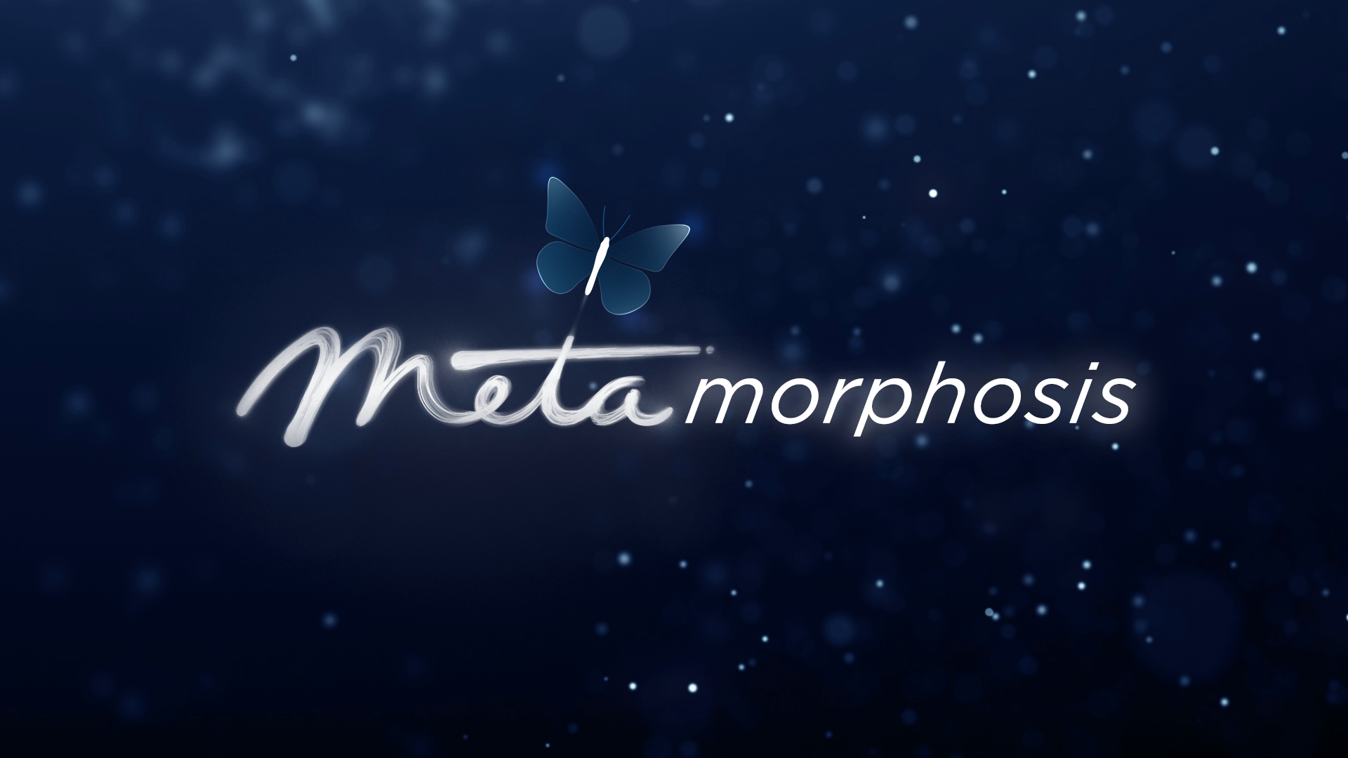 An image with the old Meta logo combined with letters to form the word metamorphosis