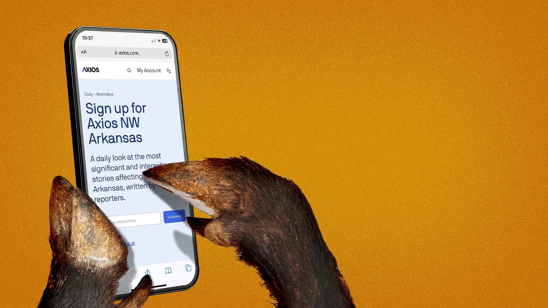 Illustration of wild hog hooves holding up the Axios NW Arkansas website on their phone. 