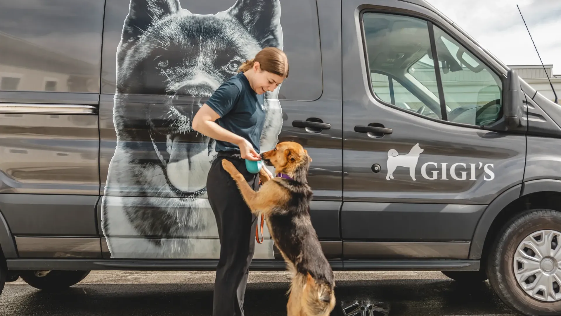 A woman in a navy shirt feeds a dog standing on its hind legs beside a gray van emblazoned with a large black‑and‑white dog graphic and the brand name "GIGI'S".