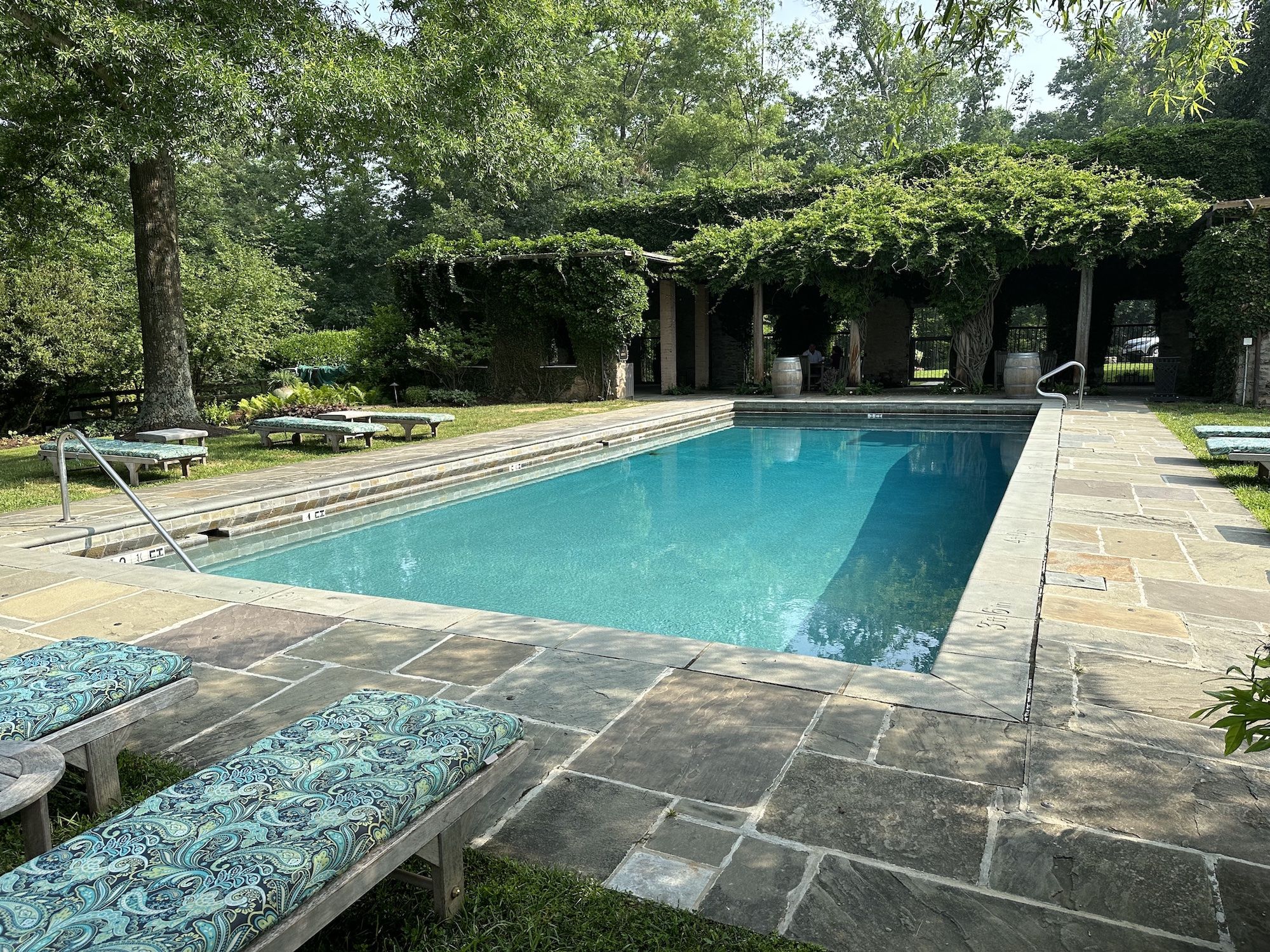 A pool surrounded by a stone setting and greenery