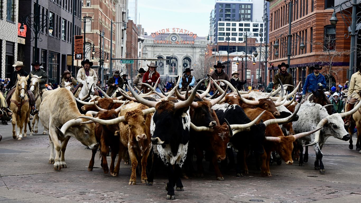 What to know about the National Western Stock Show happening in Denver ...