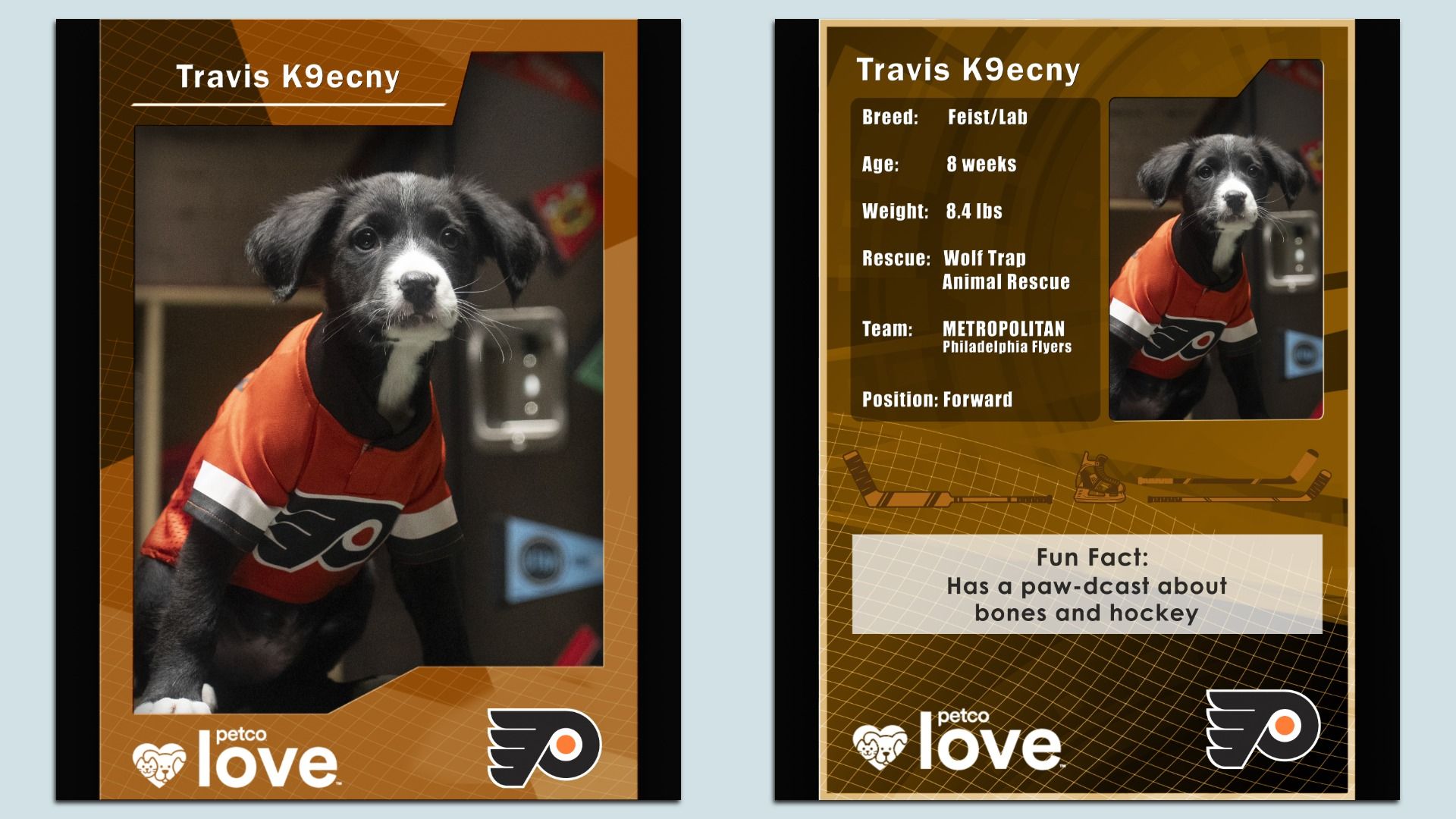 Stanley Pup Travis K9ecny will represent the Flyers