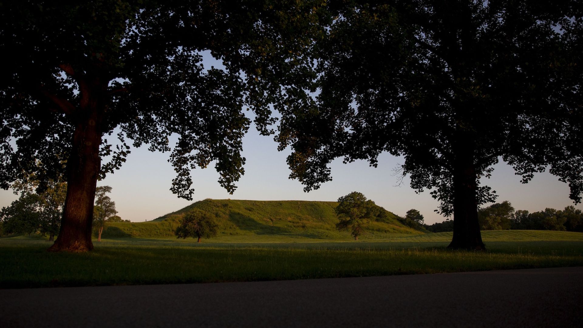 Monks Mound in the background and two trees in foreground.